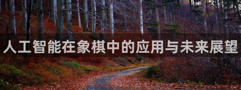 人工智能在象棋中的应用与未来展望