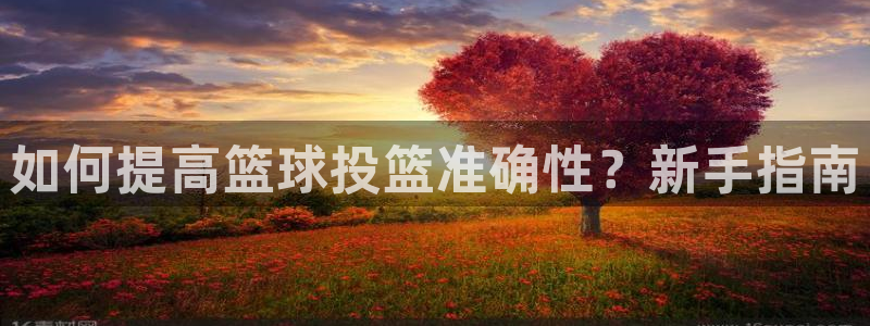 如何提高篮球投篮准确性？新手指南