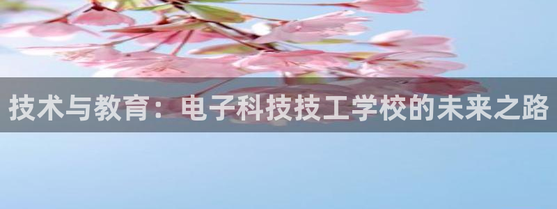 技术与教育：电子科技技工学校的未来之路