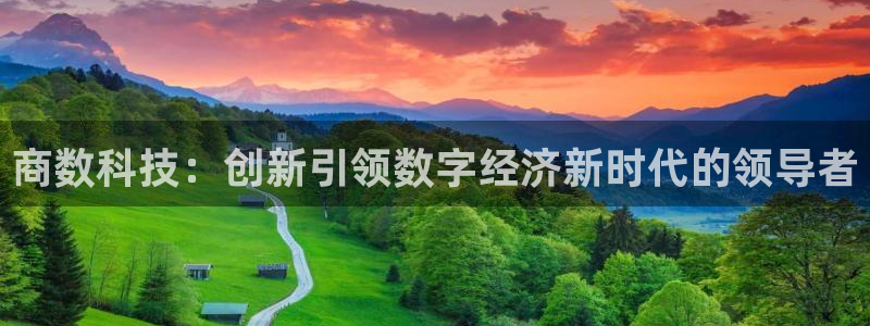 商数科技：创新引领数字经济新时代的领导者