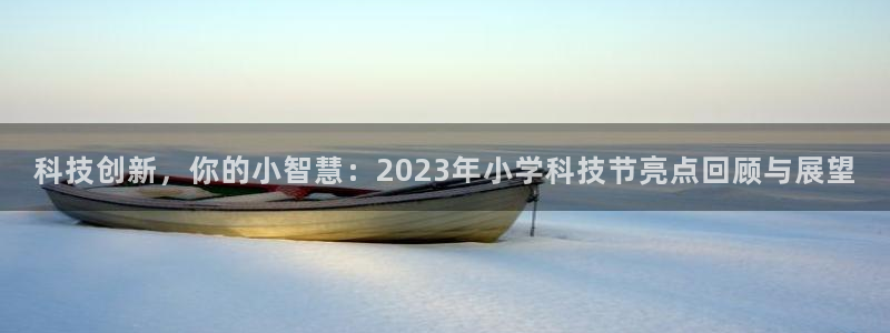 科技创新，你的小智慧：2023年小学科技节亮点回顾与展望