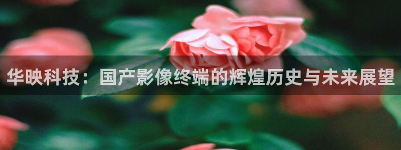 华映科技：国产影像终端的辉煌历史与未来展望