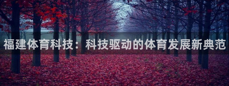 福建体育科技：科技驱动的体育发展新典范