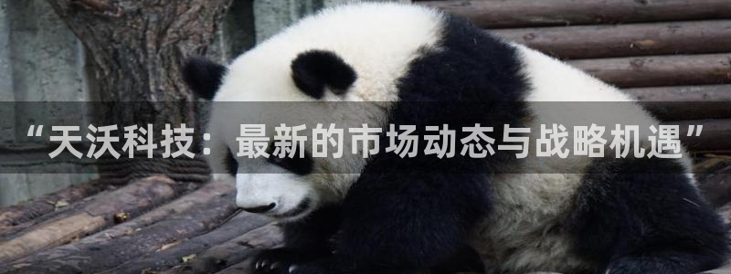 “天沃科技：最新的市场动态与战略机遇”
