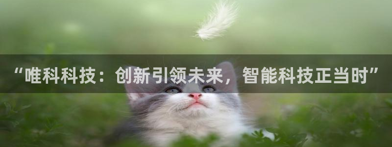 “唯科科技：创新引领未来，智能科技正当时”