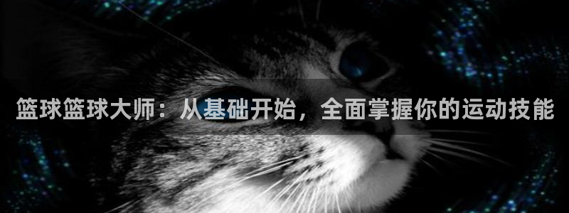 篮球篮球大师：从基础开始，全面掌握你的运动技能