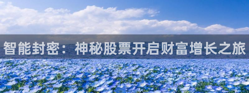 智能封密：神秘股票开启财富增长之旅