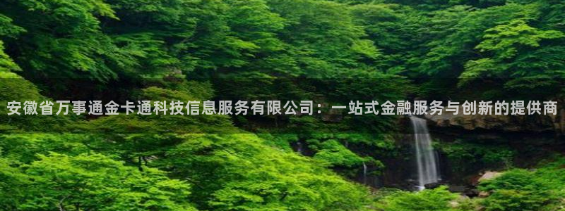 安徽省万事通金卡通科技信息服务有限公司：一站式金融服务与创新的提供商
