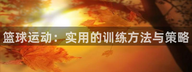篮球运动：实用的训练方法与策略