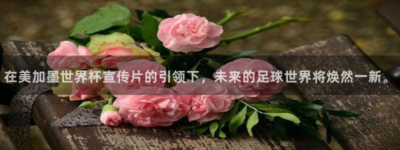 在美加墨世界杯宣传片的引领下，未来的足球世界将焕然一新。