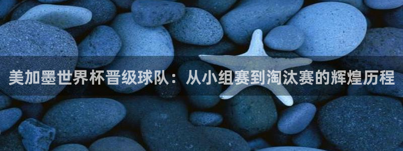 美加墨世界杯晋级球队：从小组赛到淘汰赛的辉煌历程