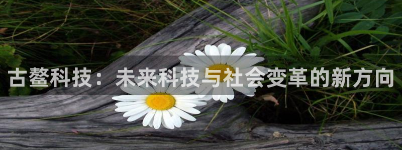 古鳌科技：未来科技与社会变革的新方向