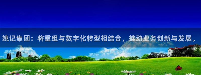 姚记集团：将重组与数字化转型相结合，推动业务创新与发展。