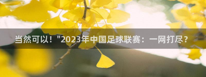 当然可以！\